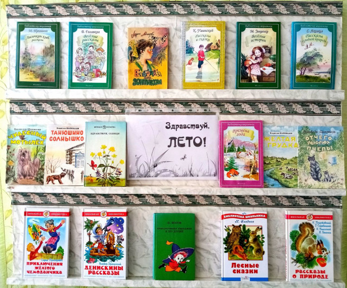 Книжная выставка.